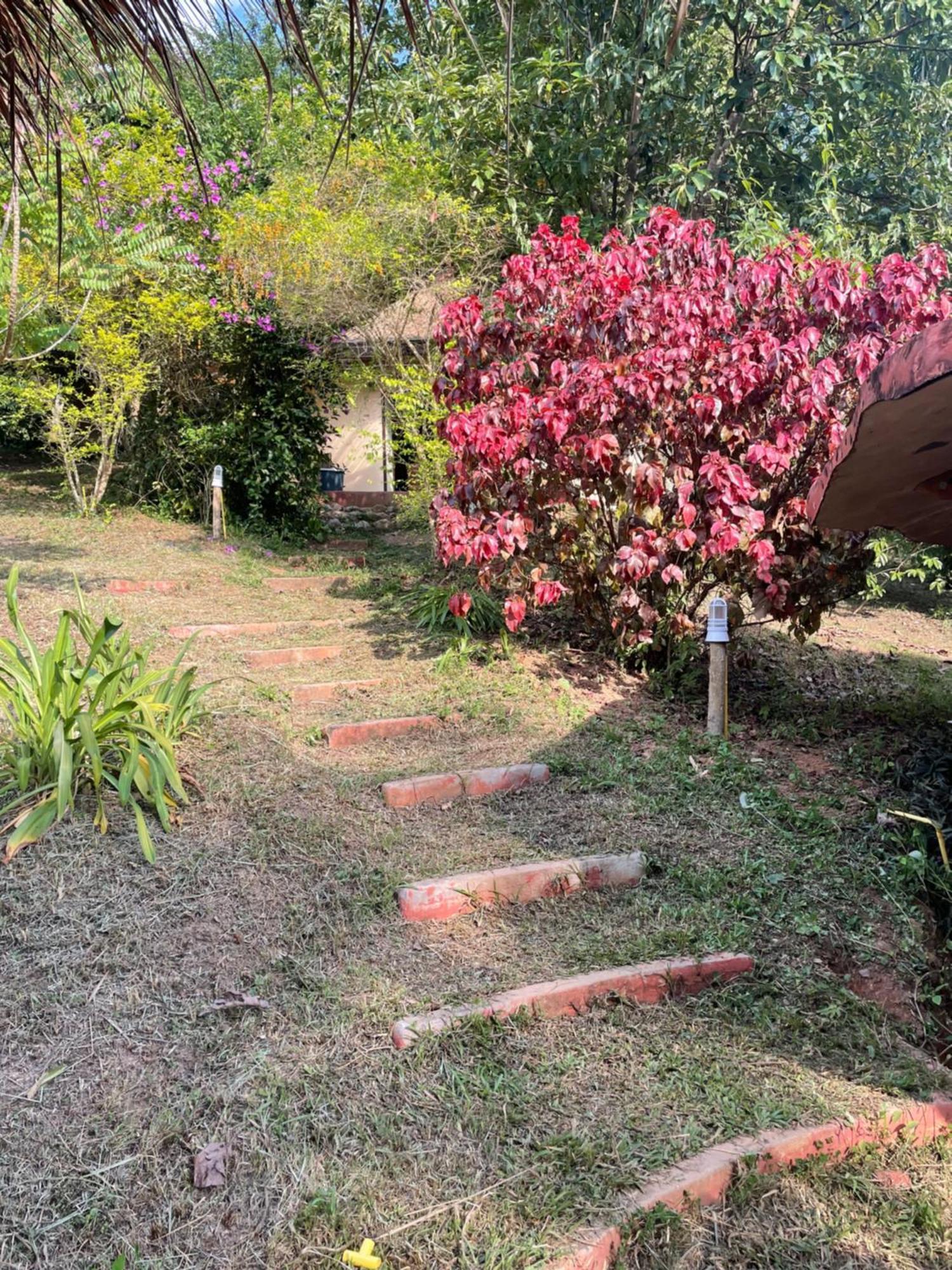 เชียงดาว ราวน์เฮ้าส์ Bed & Breakfast ภายนอก รูปภาพ