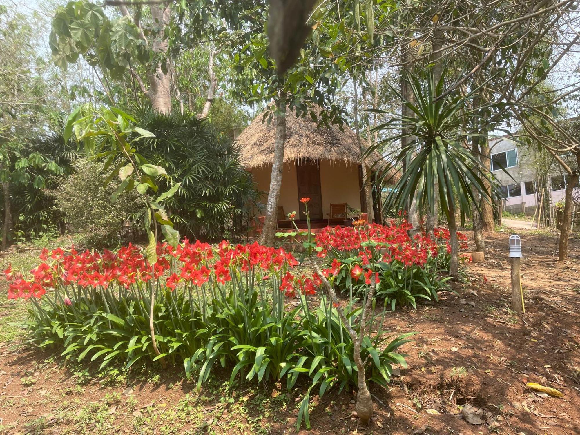 เชียงดาว ราวน์เฮ้าส์ Bed & Breakfast ภายนอก รูปภาพ