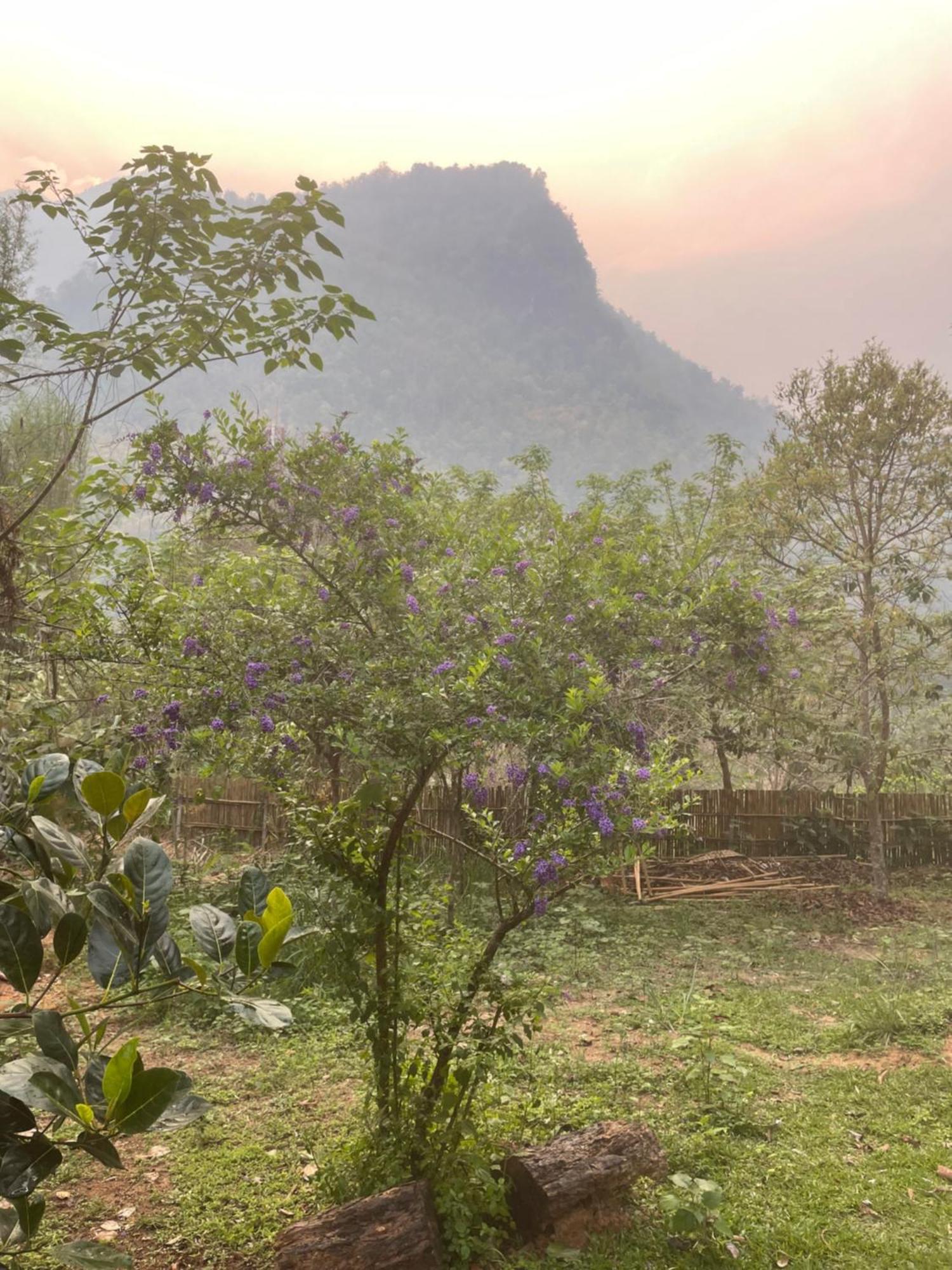 เชียงดาว ราวน์เฮ้าส์ Bed & Breakfast ภายนอก รูปภาพ