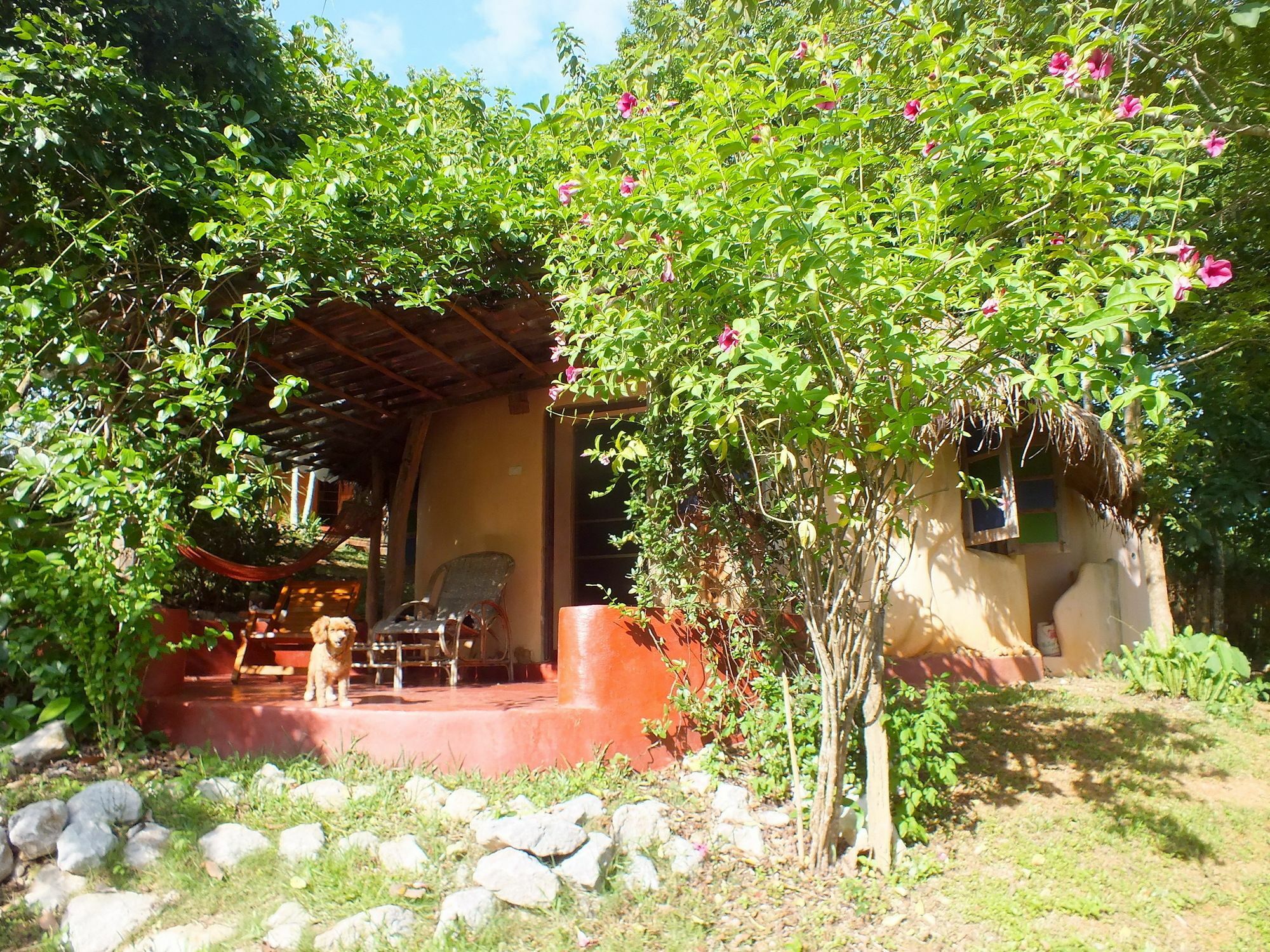 เชียงดาว ราวน์เฮ้าส์ Bed & Breakfast ภายนอก รูปภาพ